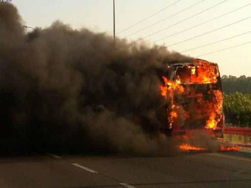 الصحة المصرية: تفحم 16 طالبا إثر حادث السير 