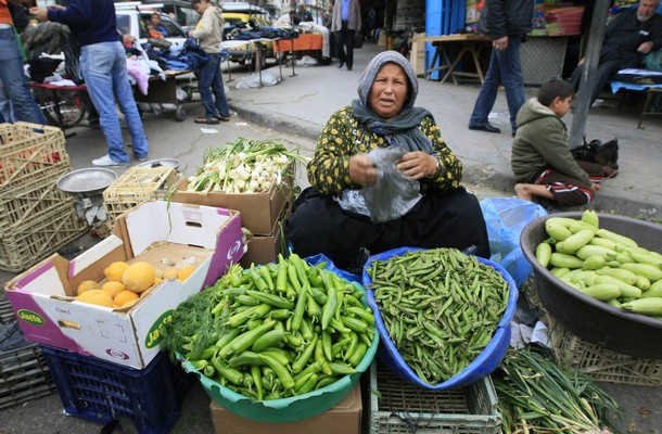 فلسطين مستعدة لتوريد الفواكه والخضار إلى السوق الروسية