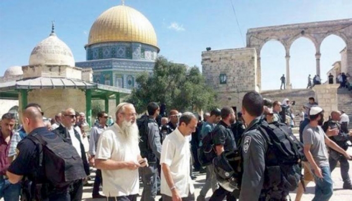 الخارجية: جهد فلسطيني