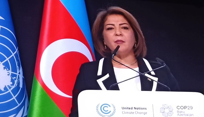 خلال مؤتمر المناخ COP 29.. التميمي تطالب دول ومنظمات العالم بالضغط على الاحتلال لوقف حرب الإبادة على غزة
