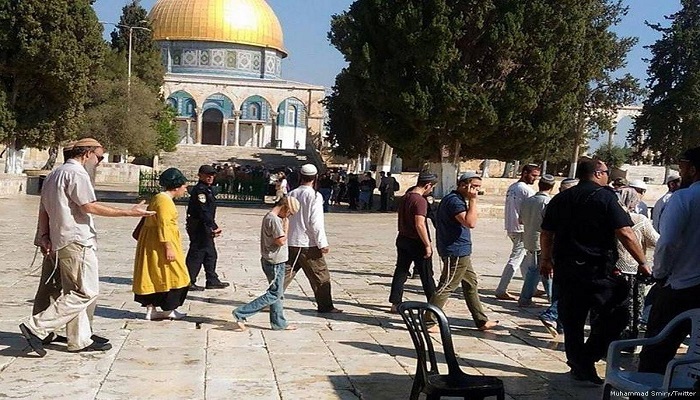 تحت حماية قوات الاحتلال.. مستعمرون يقتحمون المسجد الأقصى
