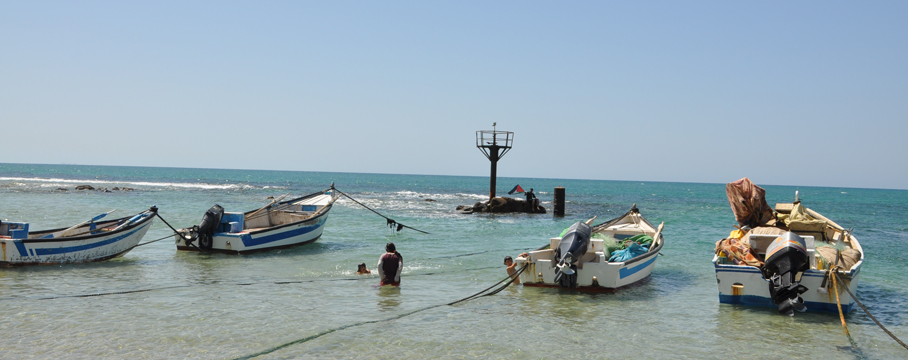 جسر الزرقاء في الـ